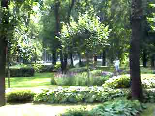 гостиницы москвы