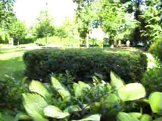 отели в москве